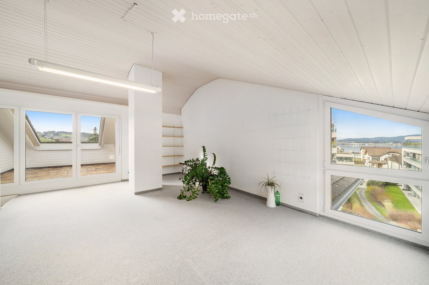 Bright, empty room with white walls, carpeted floor, large windows, and built-in shelving. Minimal decor with a small plant and bottle on the floor.