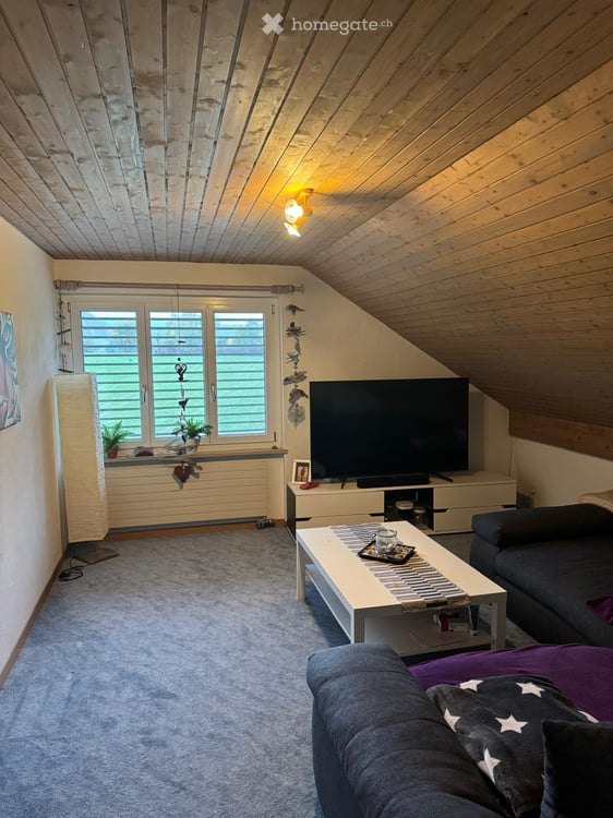 Dachwohnung in Bichelsee 6