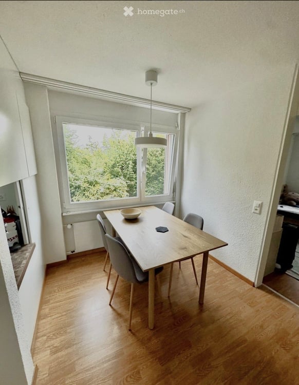 helle, ruhige 3.5 Zimmer Wohnung im Grünen, Seesicht 2