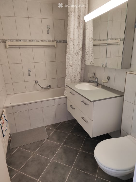 Spacious and bright 4.5-room furnished apartment in central Olten 5