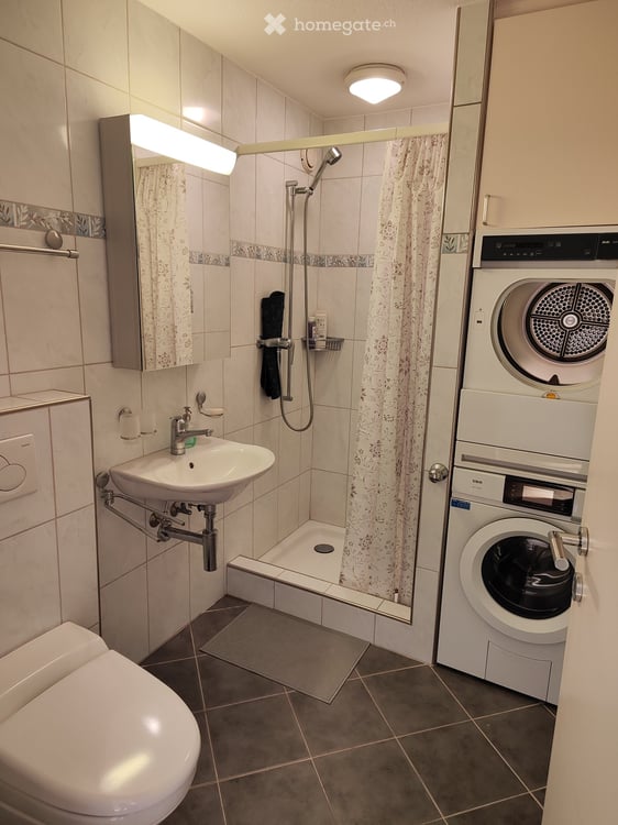 Spacious and bright 4.5-room furnished apartment in central Olten 6