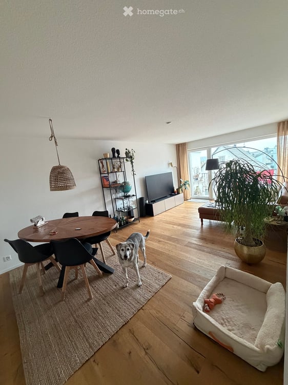 2.5 Zimmer Wohnung in Geroldswil 2