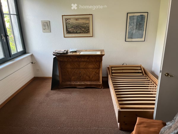 Grosszügiges Doppeleinfamilienhaus an traumhafter Naturlage mit Blick auf den Lützelsee 9