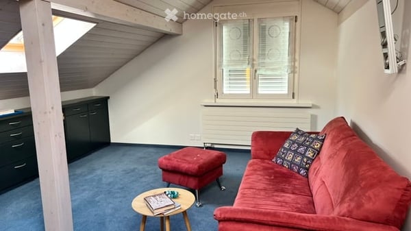 Doppeleinfamilienhaus direkt unterm Schloss Weinfelden 19