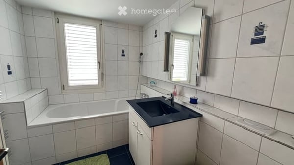 Doppeleinfamilienhaus direkt unterm Schloss Weinfelden 13