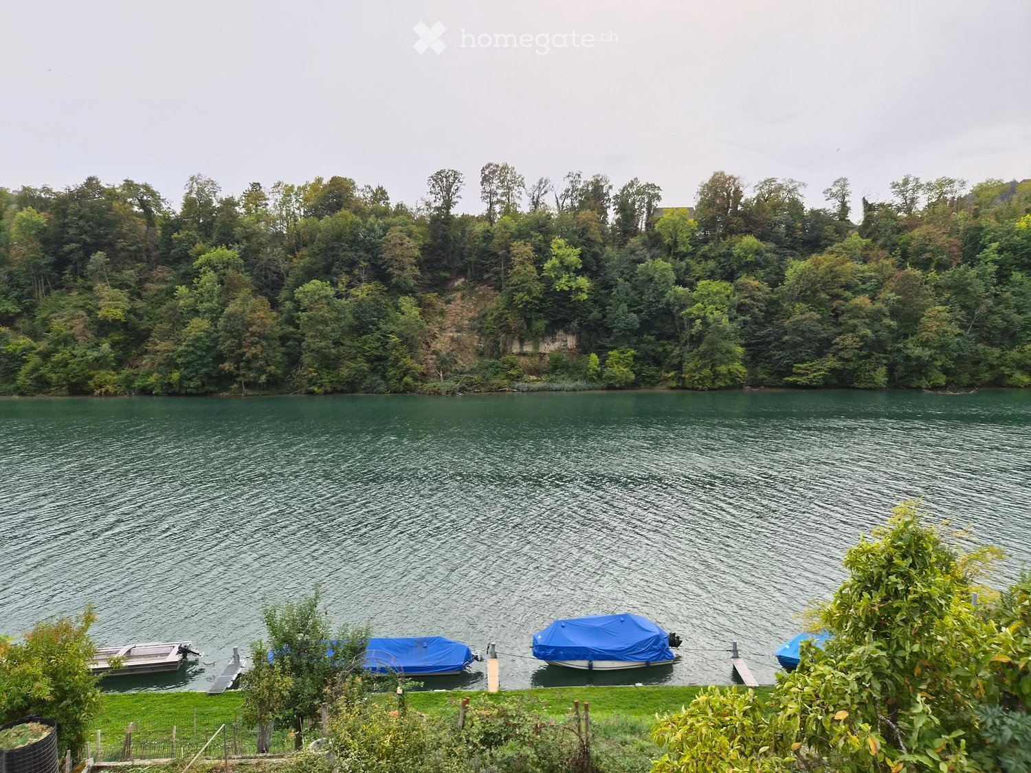 A serene lake surrounded by lush green trees, with several boats docked along the shore, covered with blue tarps.