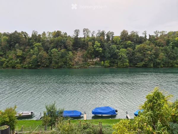 5.5-Zimmer-Duplexwohnung direkt am Rhein mit eigenem Gartenanteil 2