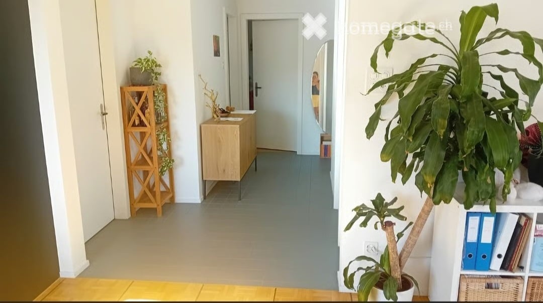 Bright hallway with light-colored walls, wooden floor, and a few decorative items including a small wooden shelf, potted plants, and a small table with a vase.