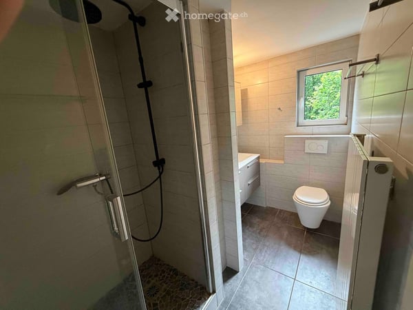 Magnifique 5,5 pièces rénové – 183 m² – vue panoramique sur le Moléson 17