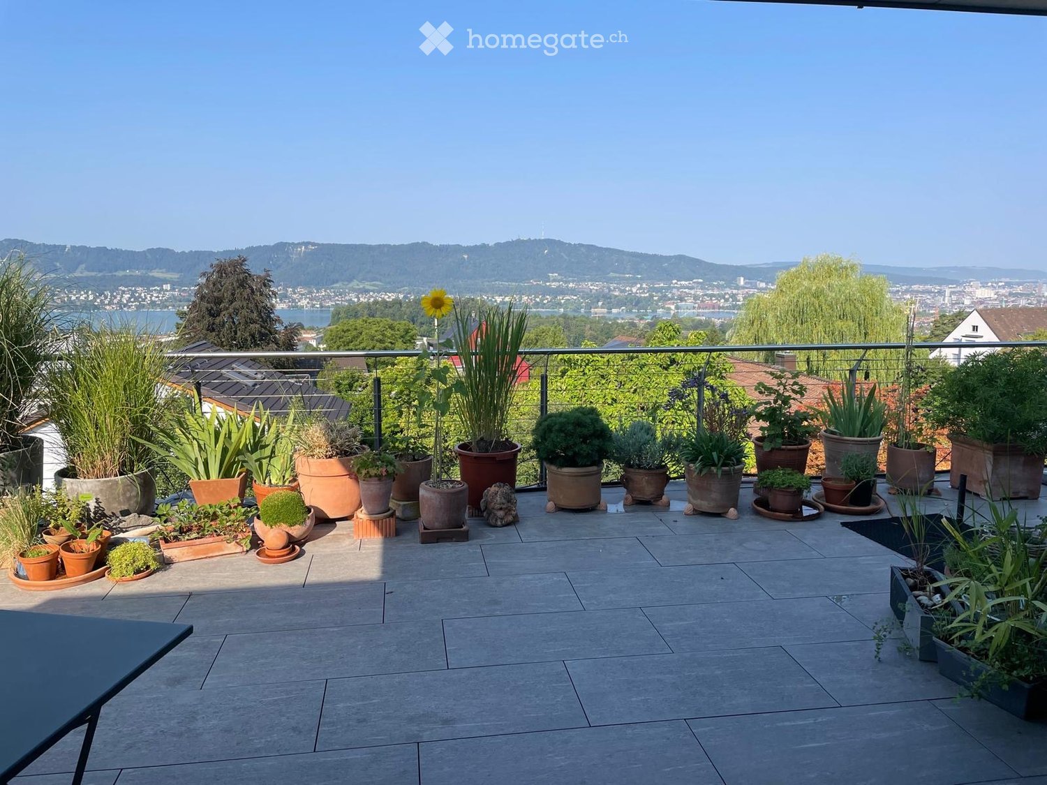 Balcony with tiled floor, metal railing, and numerous potted plants arranged in rows, overlooking a scenic cityscape with mountains and a lake in the background.