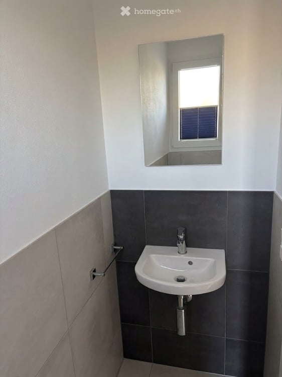 Doppeleinfamilienhaus in Biel-Benken BL 14