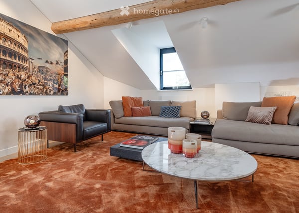 VIEUX-CAROUGE - 3 Place du Rondeau - LOFT ATTIQUE 130m2 SANS MUR PORTEUR 2