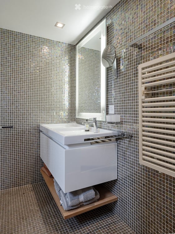 VIEUX-CAROUGE - 3 Place du Rondeau - LOFT ATTIQUE 130m2 SANS MUR PORTEUR 15