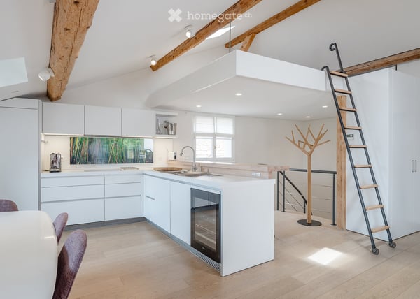 VIEUX-CAROUGE - 3 Place du Rondeau - LOFT ATTIQUE 130m2 SANS MUR PORTEUR 6