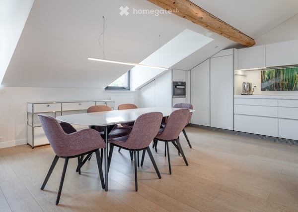 VIEUX-CAROUGE - 3 Place du Rondeau - LOFT ATTIQUE 130m2 SANS MUR PORTEUR 8