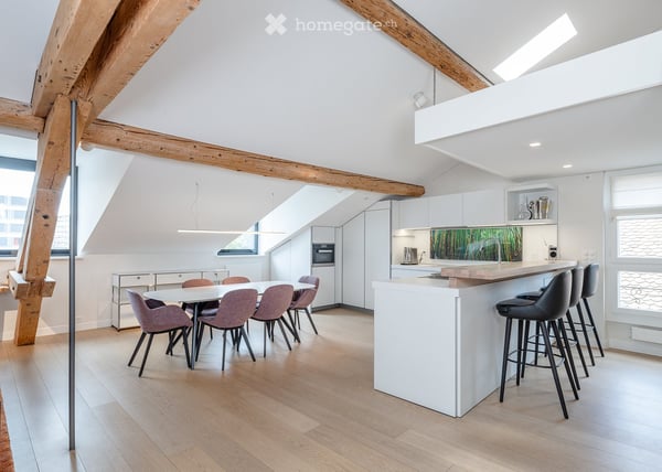 VIEUX-CAROUGE - 3 Place du Rondeau - LOFT ATTIQUE 130m2 SANS MUR PORTEUR 7