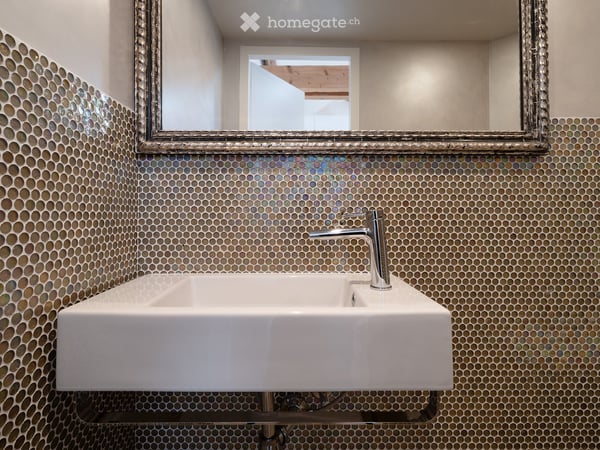 VIEUX-CAROUGE - 3 Place du Rondeau - LOFT ATTIQUE 130m2 SANS MUR PORTEUR 14
