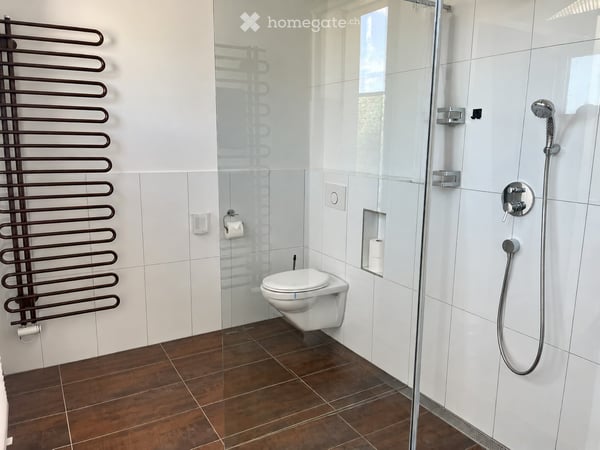 Moderne Attikawohnung in Bremgarten AG 18