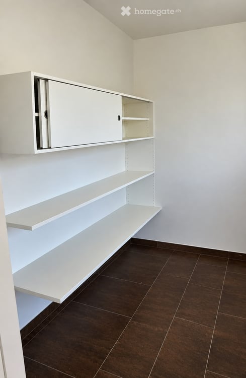 Moderne Attikawohnung in Bremgarten AG 7