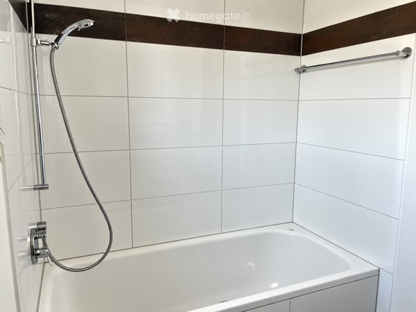 Moderne Attikawohnung in Bremgarten AG 16