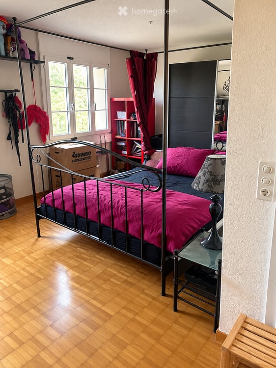 Dachwohnung in Zürich 2