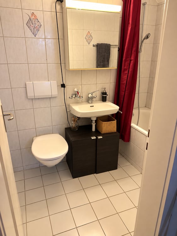 Dachwohnung in Zürich 3