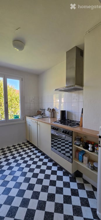 Charmante 3 Zimmerwohnung mit Schwedenofen im Marzili 7