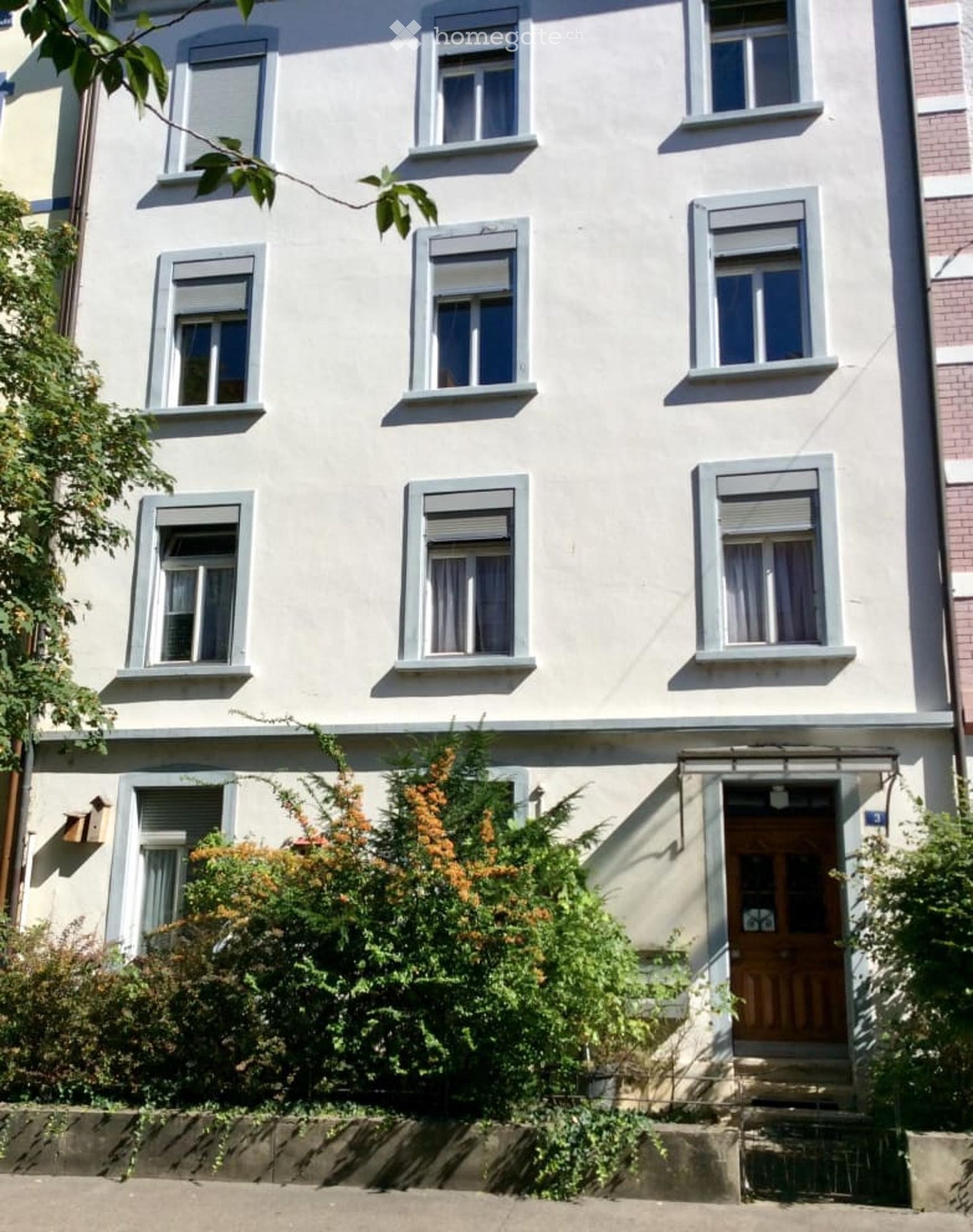 White building, multiple windows, wooden door, small plants in front