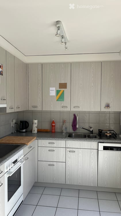 3-Zimmer Attikawohnung zur Untermiete in der Neustadt 3