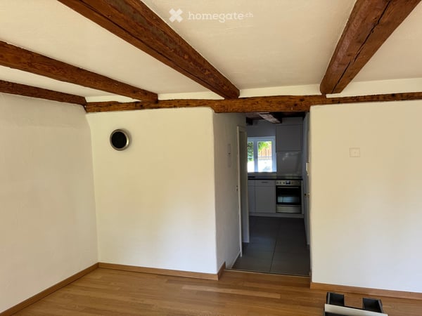 Erstbezug nach Renovation - Singlewohnung mit Gartensitzplatz 3