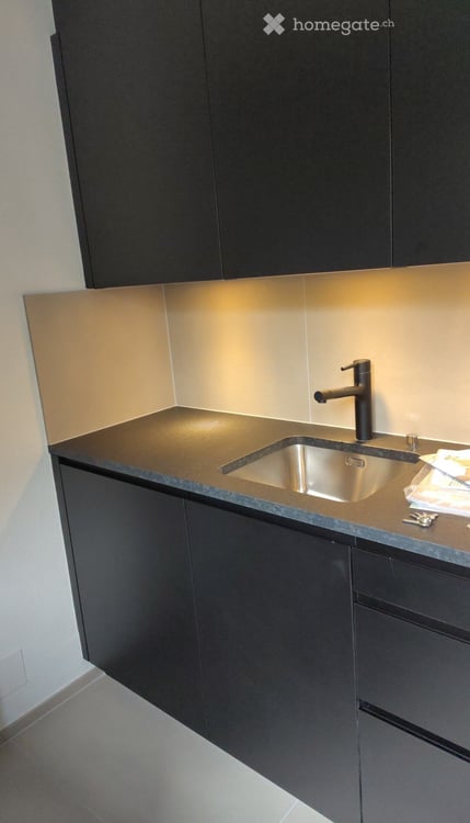 Appartement 4.5 pièces rénové en 2024 université miséricorde 4