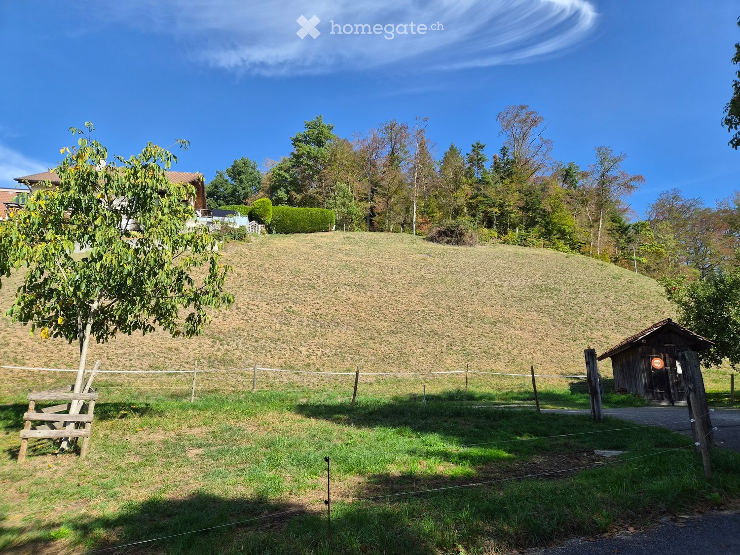 A grassy hillside with a wooden fence, a small wooden shed, and a tree with yellow fruit. The area is enclosed and features a gravel path leading to the shed.