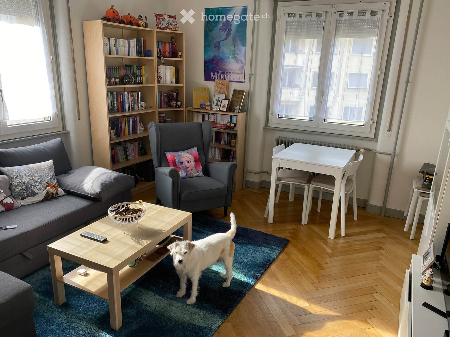 A cozy living room with a grey sofa, armchair, coffee table, bookshelf, small dining table, and a dog on a blue rug.