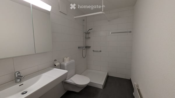 Helle 2.5-Zimmerwohnung im 9. Stock mit wunderschöner Aussicht in Oberwinterthur 11