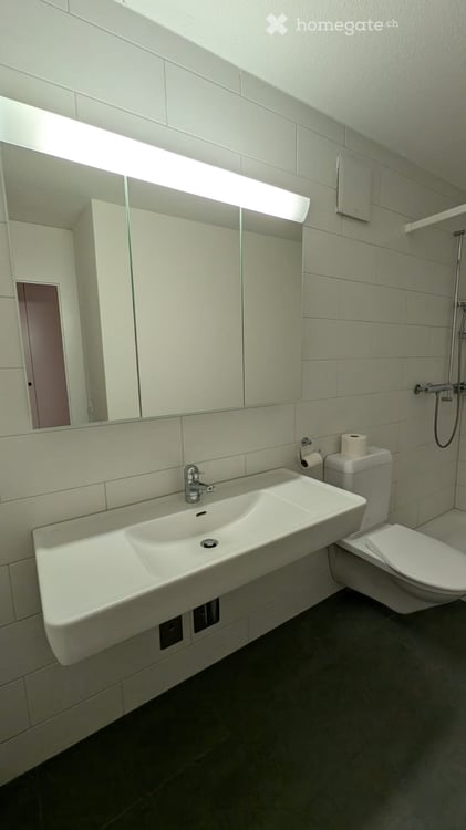 Helle 2.5-Zimmerwohnung im 9. Stock mit wunderschöner Aussicht in Oberwinterthur 13