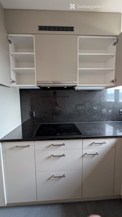 Helle 2.5-Zimmerwohnung im 9. Stock mit wunderschöner Aussicht in Oberwinterthur 23