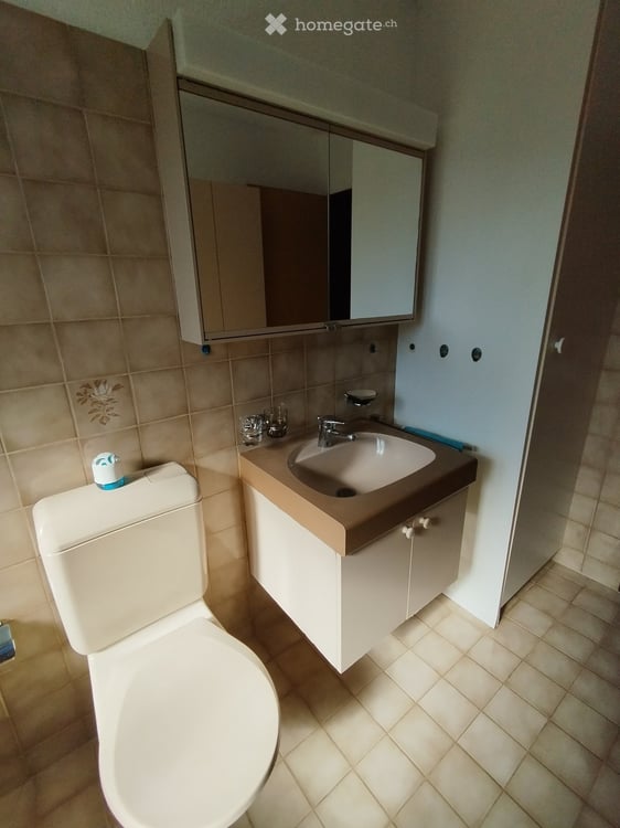 Wohnung in Aristau 3