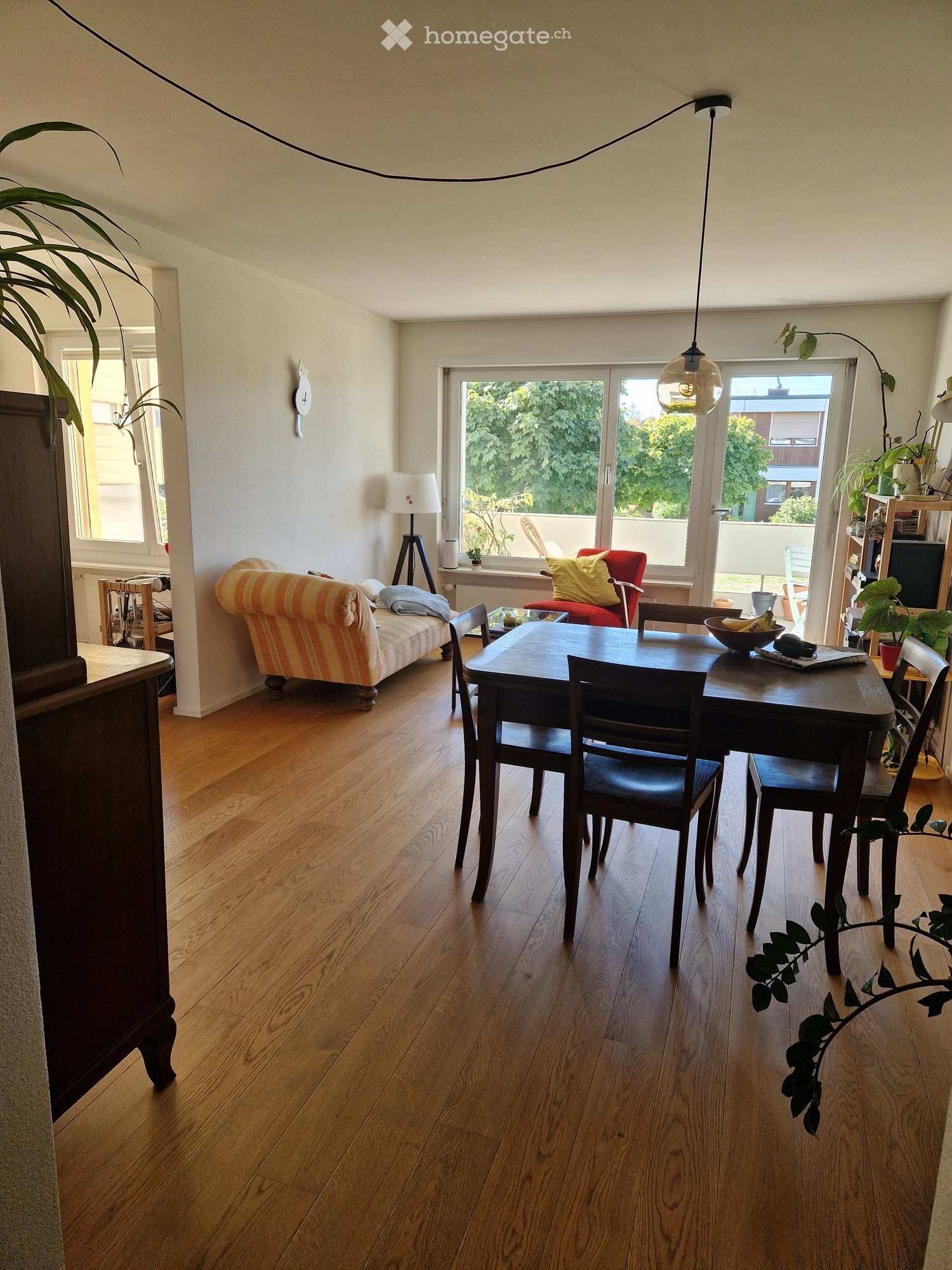 Bright living room with wooden flooring, large windows, a sofa, a dining table with chairs, and decorative plants.