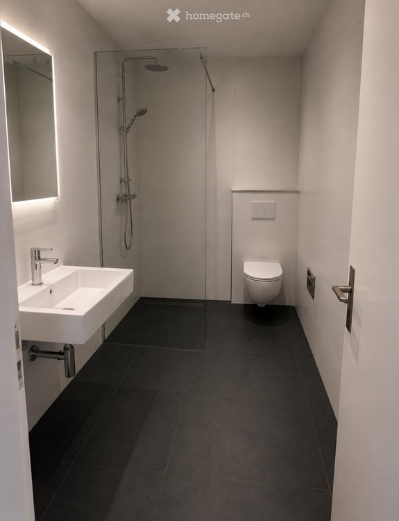 frisch renovierte, wunderschöne 1.5 Wohnung im 2. OG mit sonnigem Balkon, Blick ins Grüne 3