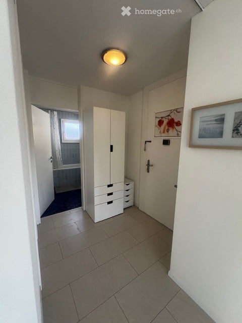Fully furnished, modern Apartment / Möbilierte, neu renovierte, 2,5 Zi-Wohnung 5