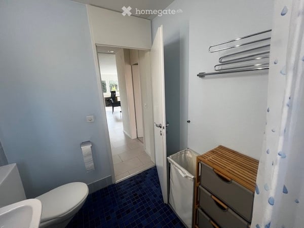 Fully furnished, modern Apartment / Möbilierte, neu renovierte, 2,5 Zi-Wohnung 9