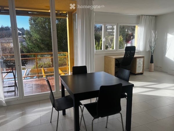 Fully furnished, modern Apartment / Möbilierte, neu renovierte, 2,5 Zi-Wohnung 3
