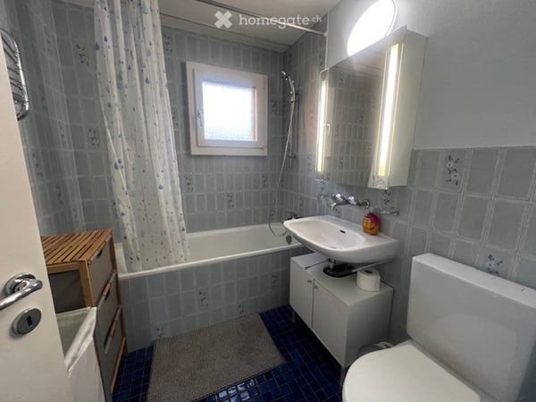 Fully furnished, modern Apartment / Möbilierte, neu renovierte, 2,5 Zi-Wohnung 8