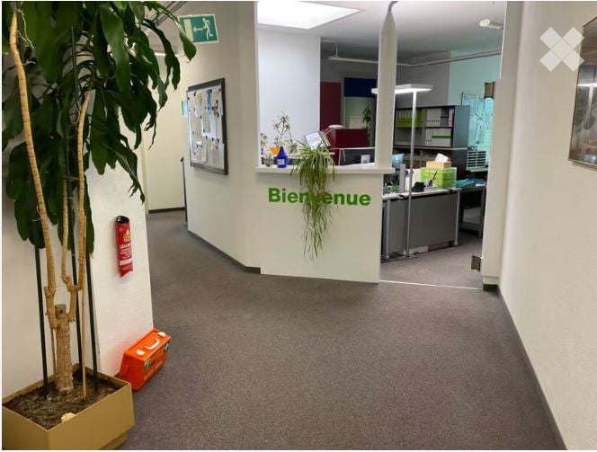 Office hallway with carpeted floor, white walls, potted plant, and a reception area visible in the background.