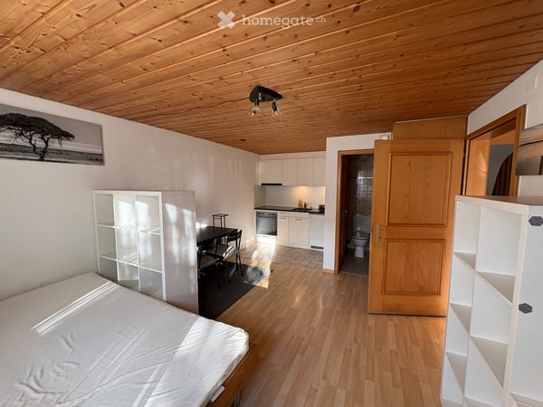 Studio in Trimmis Nachmieter gesucht 2
