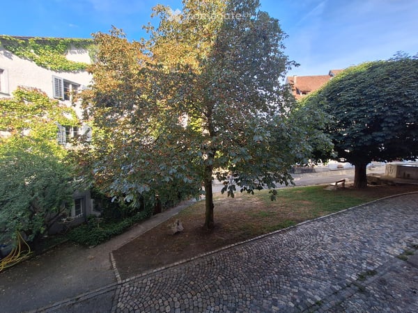 Wohnung in Kaiserstuhl AG