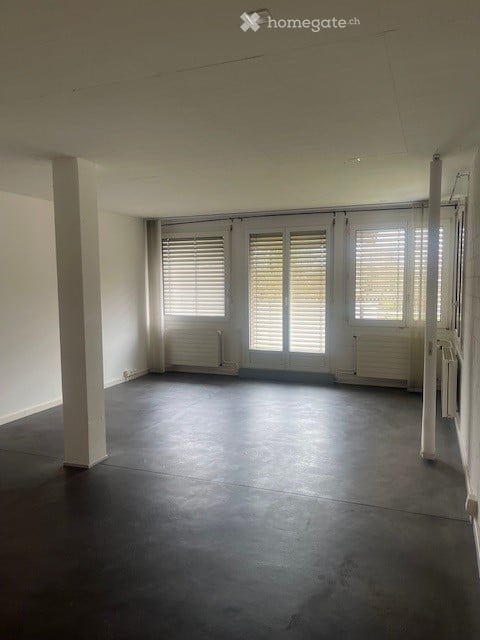 Loft in Wetzikon 2