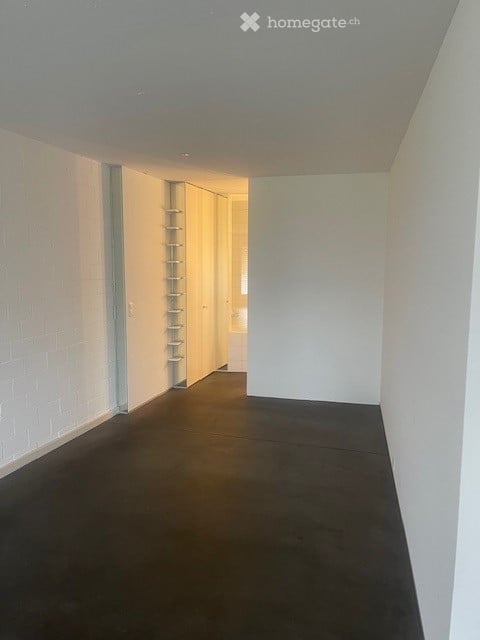 Loft in Wetzikon 4