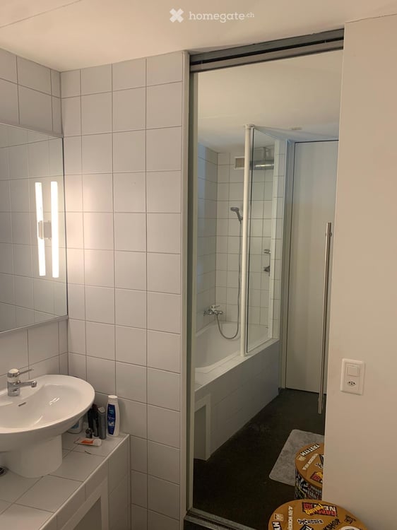 Loft in Wetzikon 3