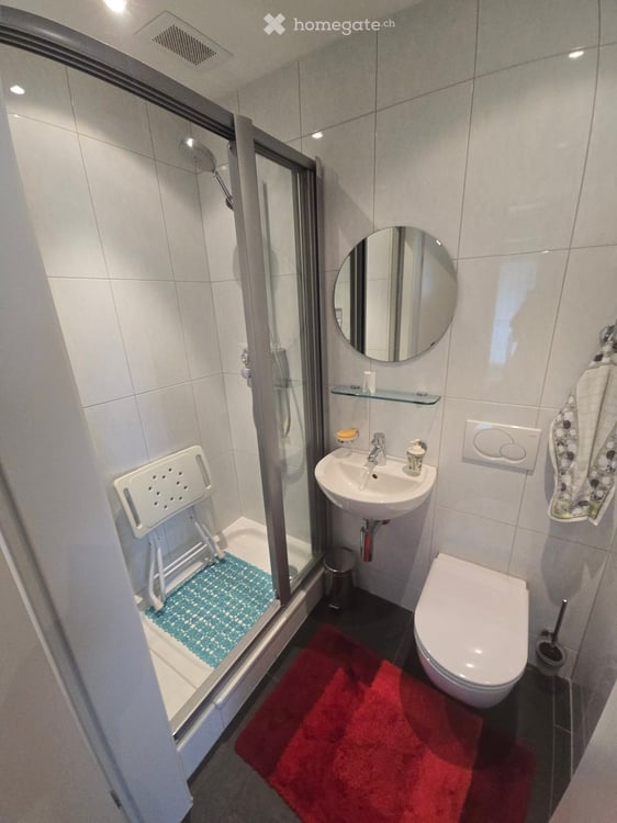 3.5-Zimmer Wohnung in Gams 9